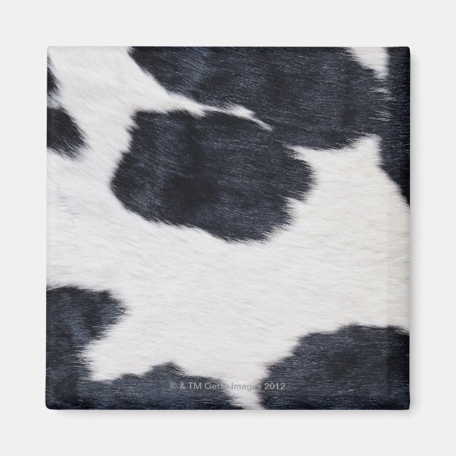 Aimant Impression de la vache (Devant)