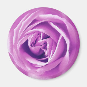 Aimant Impression rose Lavender