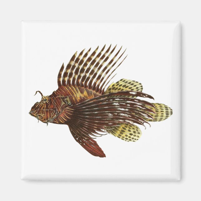 Aimant Impression Vintage de poisson rouge (Devant)