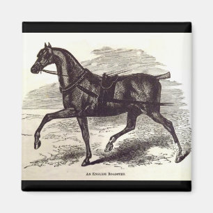 Aimant Imprimé au 19e siècle Un cheval anglais Roadster