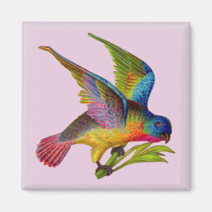 Aimant imprimé d'oiseau victorien ultra coloré