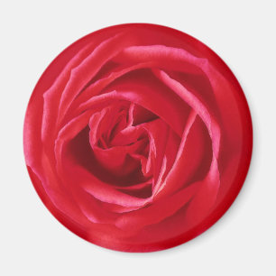 Aimant imprimé rose rouge