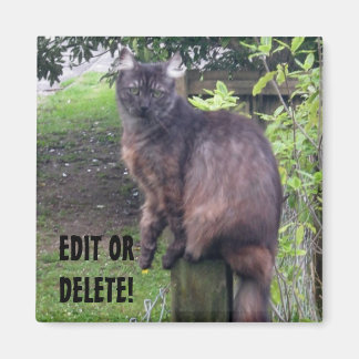 Aimant Imprimer l'aimant de chat