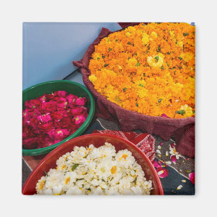 Aimant Inde, Rajasthan, Pipar