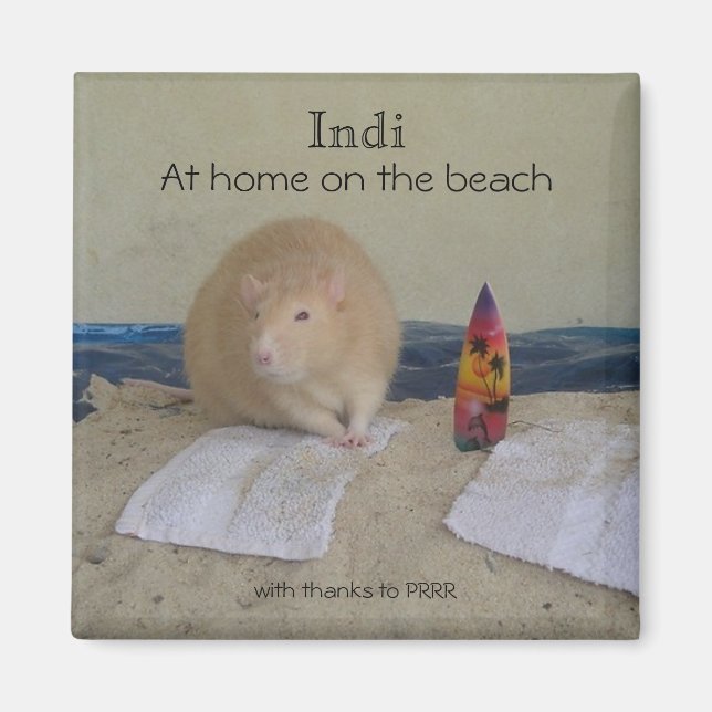 Aimant Indi, A la maison sur la plage, grâce à... (Devant)