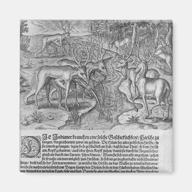 Aimant Indiens de Floride qui chassent des cerfs (Devant)