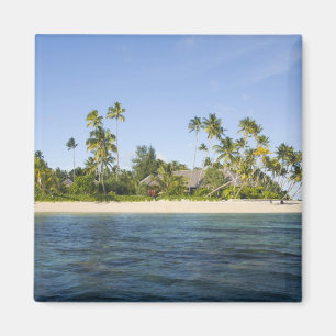 Aimant Indonésie, province de Sulawesi du Sud, Wakatobi
