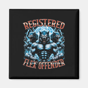 Aimant Infraction Flex enregistrée