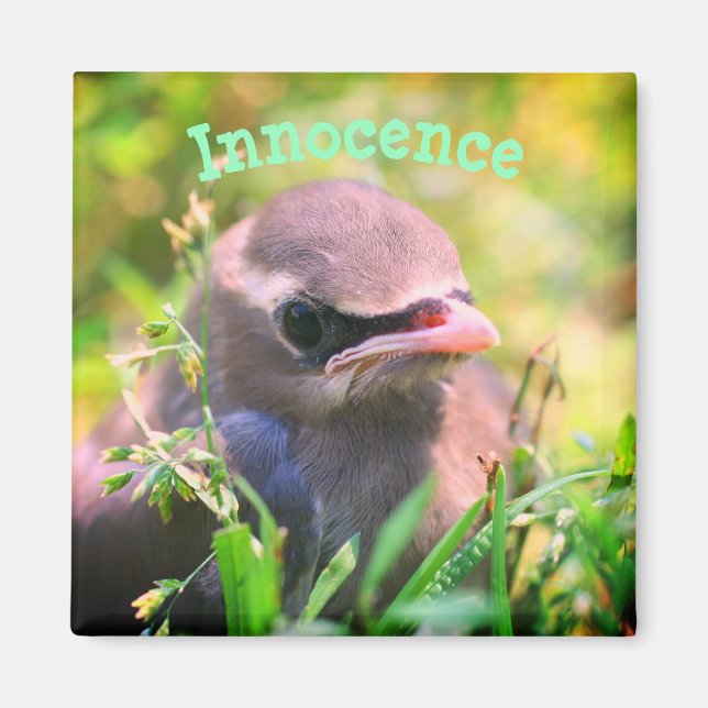 Aimant Innocence d'oiseau bébé Inspirationnel (Devant)