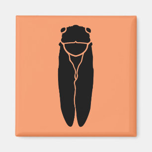 Aimant Insecte de Cicada noir