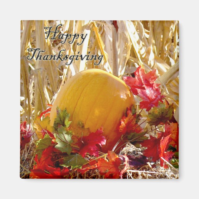 Aimant Installé en rouge (Devant)