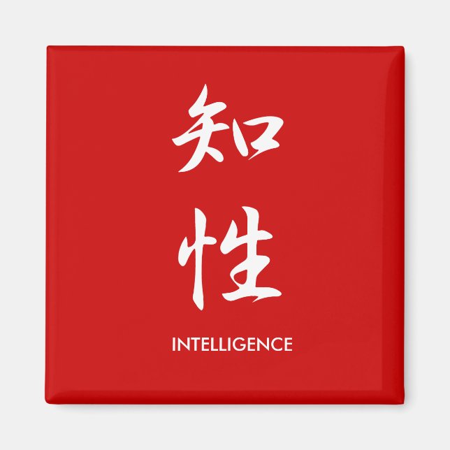 Aimant Intelligence - Chisei (Devant)