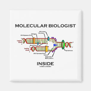 Aimant Intérieur de biologiste moléculaire (reproductio