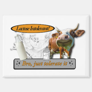 Aimant Intolérant au lactose ? Supportez-le