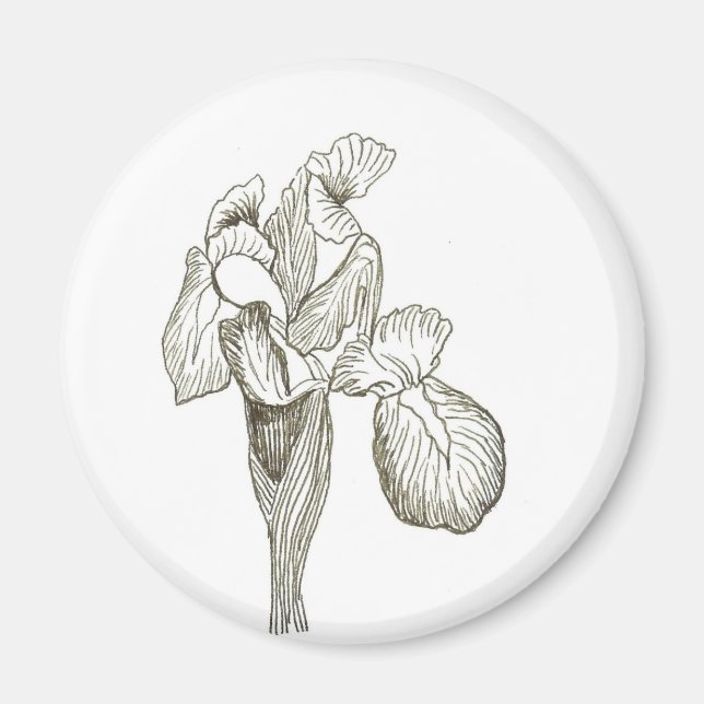 Aimant Iris (Devant)
