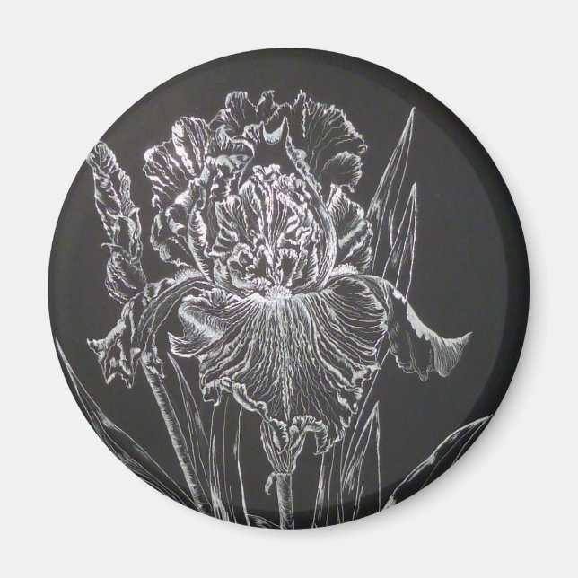 Aimant Iris (Devant)