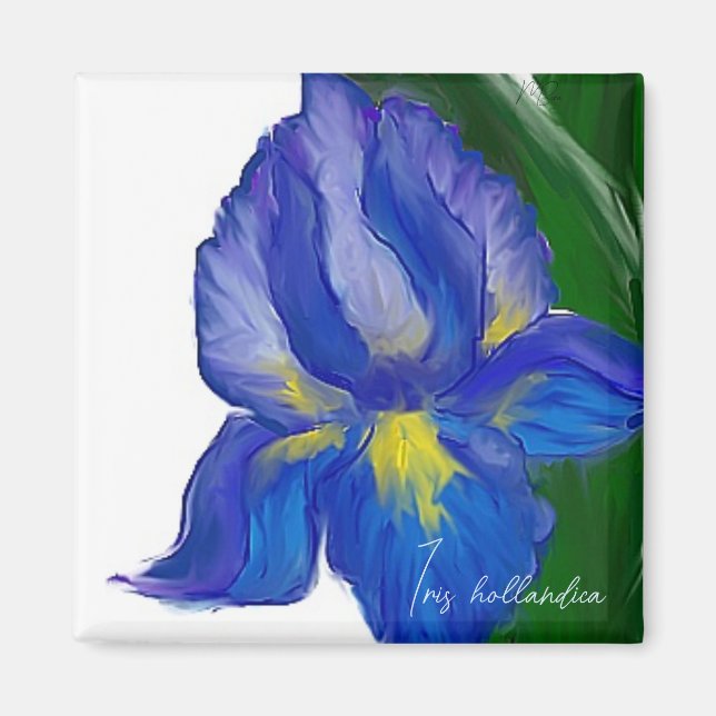 Aimant Iris (Devant)