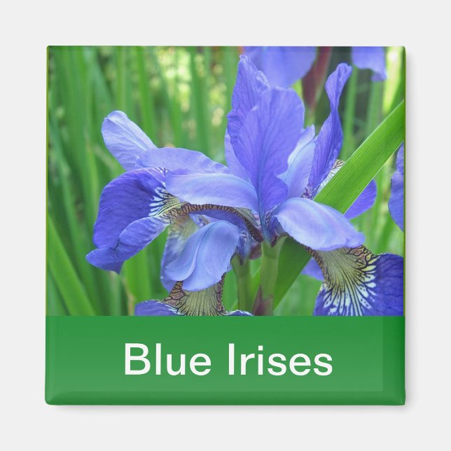 Aimant iris bleus et feuilles verts (Devant)