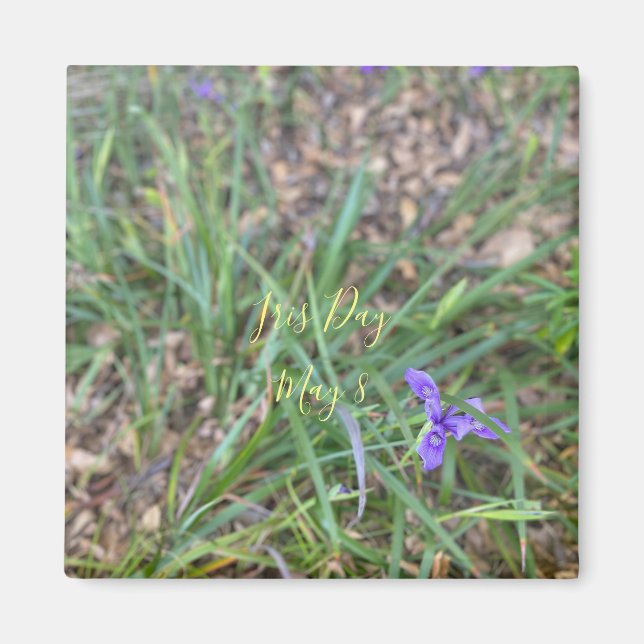 Aimant Iris Day (Devant)