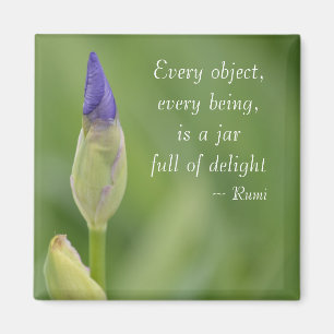 Aimant Iris de ressort