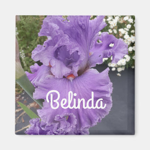 Aimant Iris Irises Purple Flower Floral Lavender