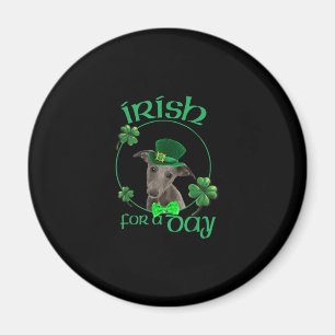 Aimant Irish For A Day Whippet Lucky Dog In Patrick Day