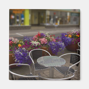 Aimant Islande, Akureyri. Vue de l'activité principale