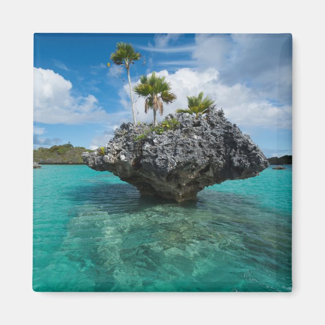Aimant Islet De Champignons À Fidji (Devant)