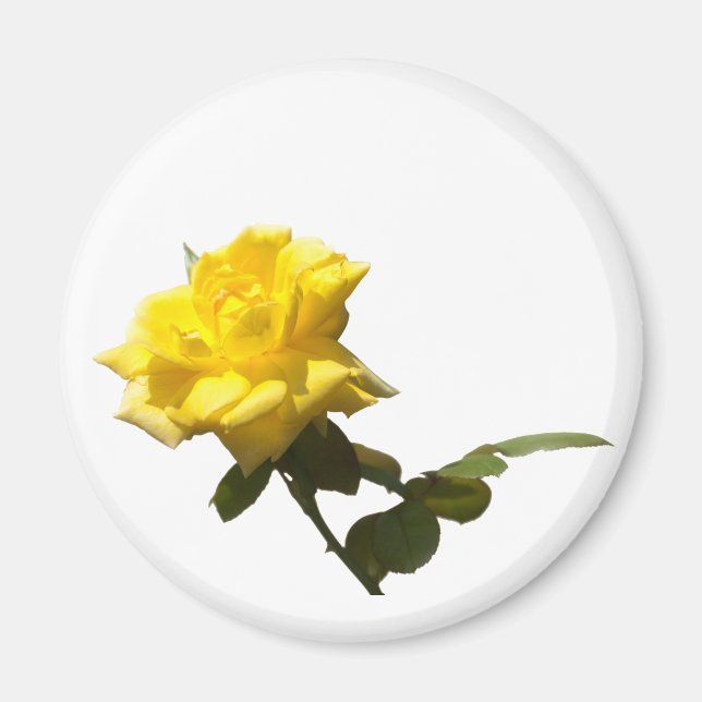 Aimant Isoler Rose jaune (Devant)