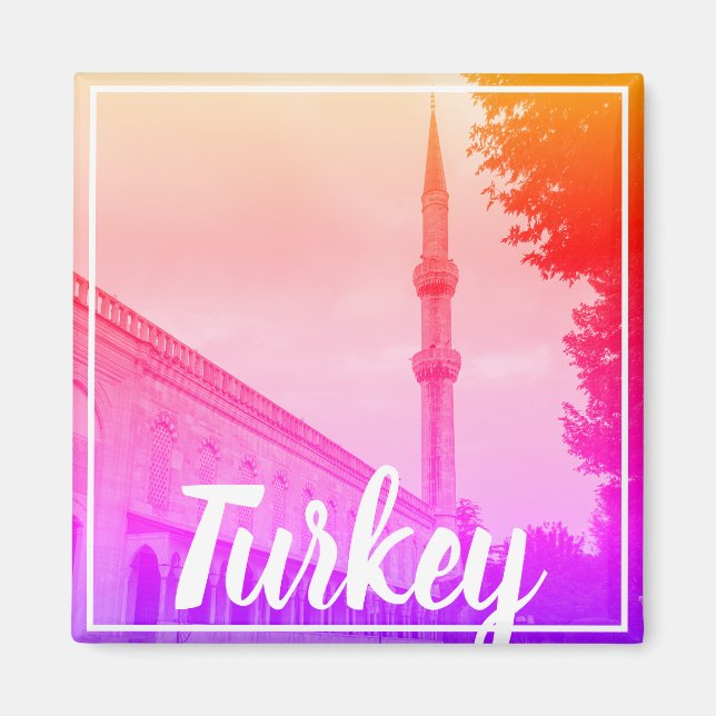 Aimant Istanbul Turquie Le Palais Seraglio Topkapi (Devant)