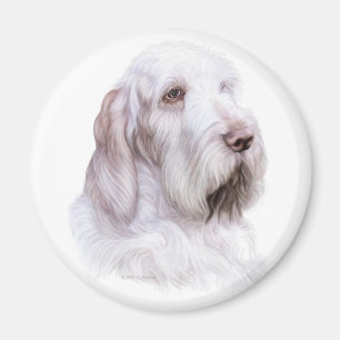 Aimant Italien Spinone Italiano