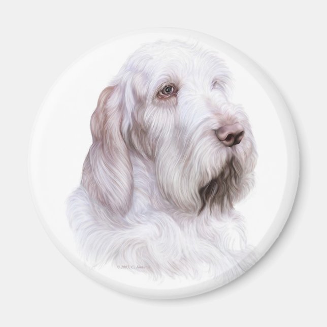 Aimant Italien Spinone Italiano (Devant)