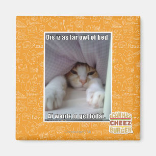 Aimant Iz de DIS en tant que loin owt de lit.