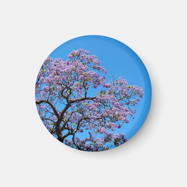 Aimant Jacaranda (Devant)