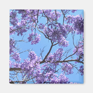 Aimant Jacaranda Blossoms