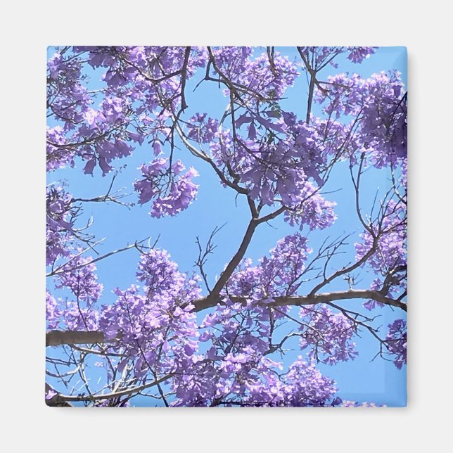 Aimant Jacaranda Blossoms (Devant)