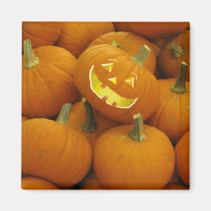 Aimant Jack-O-Lantern dans un Citrouille