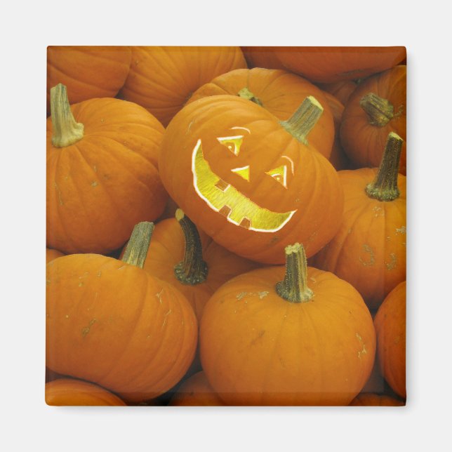 Aimant Jack-O-Lantern dans un Citrouille (Devant)