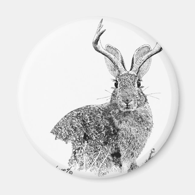 Aimant Jackalope (Devant)