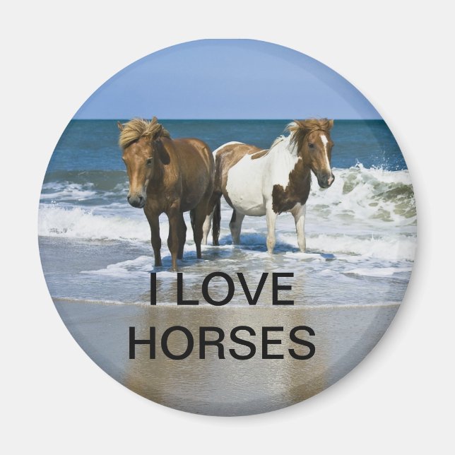 AIMANT J'ADORE LA MAGNÈTE DES CHEVAUX (Devant)