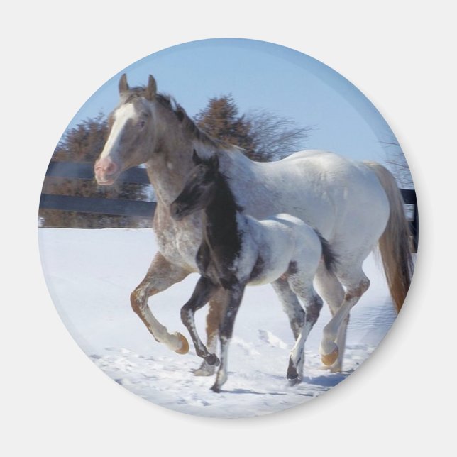 AIMANT J'ADORE LES CHEVAUX (Devant)