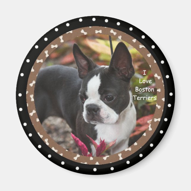 Aimant J'adore les chiens de boston Terrier (Devant)