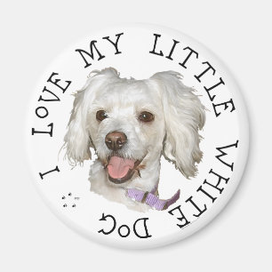 Aimant J'adore mon petit chien blanc Caniche / Bichon