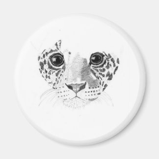 Aimant Jaguar