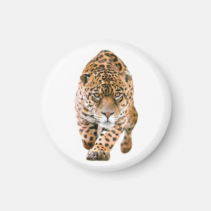 Aimant Jaguar Eyes