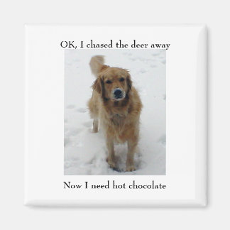 Aimant J'ai arrêté, OK, j'ai chassé le cerf, Maintenant,