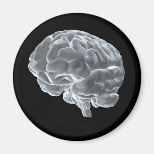 Aimant J'ai des cerveaux !