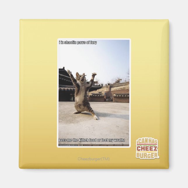 Aimant J'ai des pattes de shaolin de fureur (Devant)