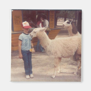 Aimant J'ai détruit 'Um Biting Llama
