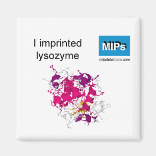 Aimant J'ai imprimé l'aimant lysozyme
